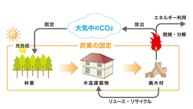 木材は自然がつくった究極のリサイクル資源